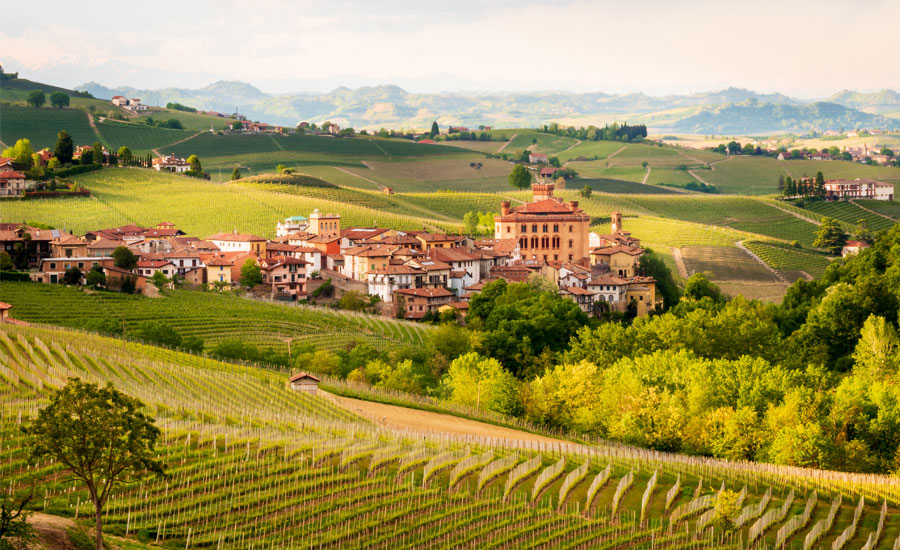 2019 Barolo Must Haves