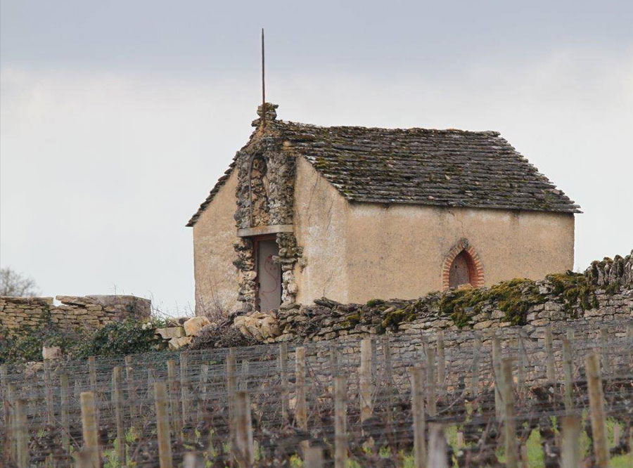 Domaine Pierre Morey